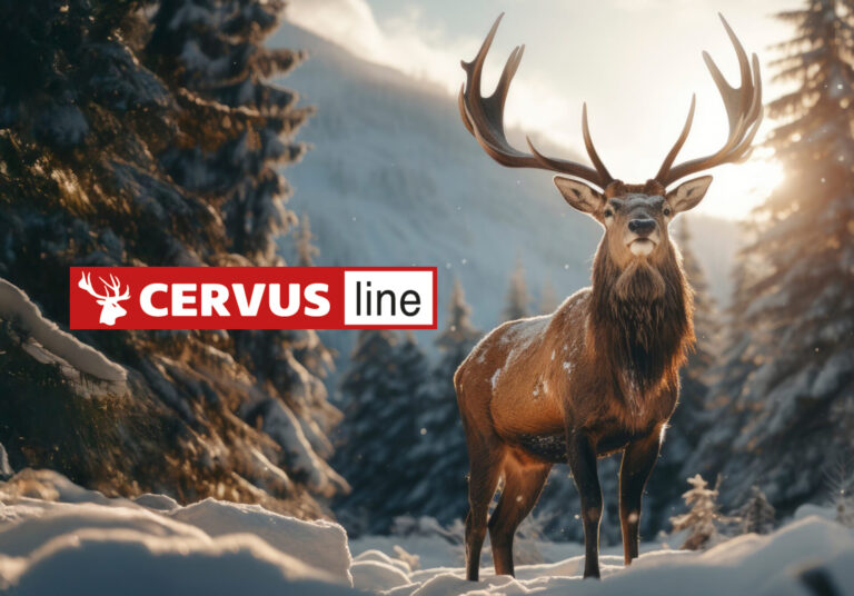 eck_cervu
