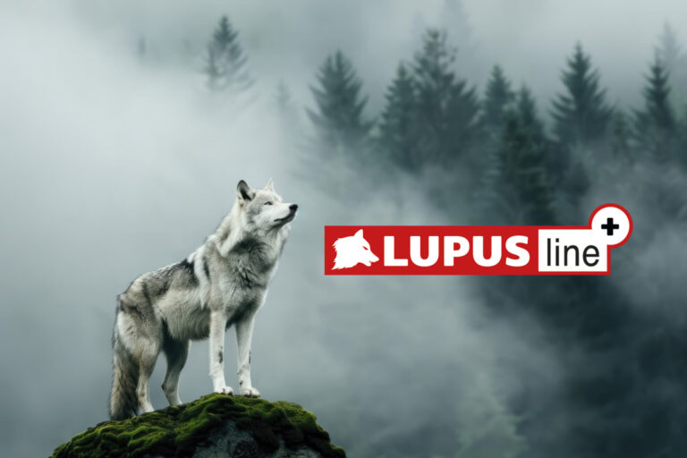 lupus_eck